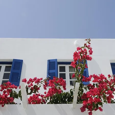 Casa Flora Lejlighed